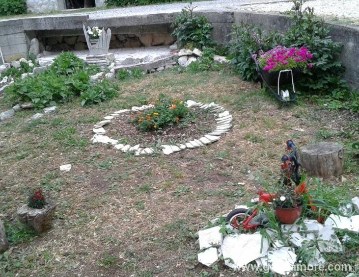viber image06